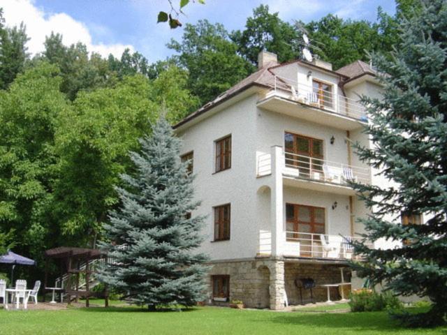 Hotel Villa Conti Písek Eksteriør billede