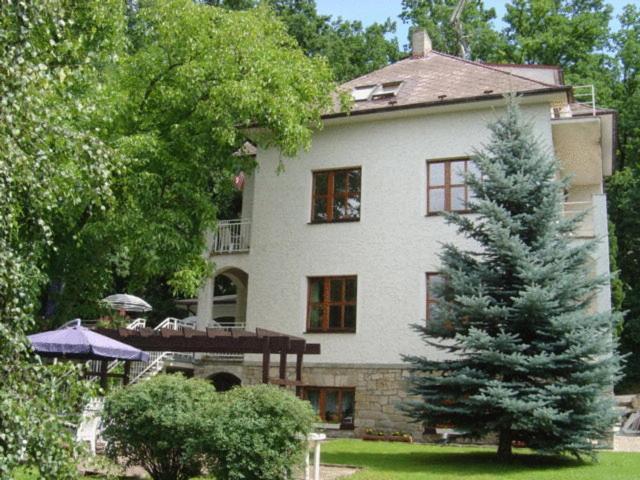 Hotel Villa Conti Písek Eksteriør billede